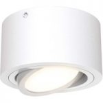 1510465 : LED-Deckenstrahler Tube 7121-016 in Weiß | Sehr große Auswahl Lampen und Leuchten.