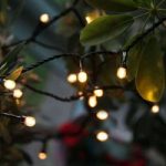 1523204 : Außen-LED-Lichterkette Cherry warmweiß Birnen klar | Sehr große Auswahl Lampen und Leuchten.