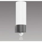 2011211 : Opalglas-Außenwandleuchte Gray, mit Sensor | Sehr große Auswahl Lampen und Leuchten.