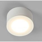 3023104 : Für innen und außen - LED-Deckenspot Newton 35 | Sehr große Auswahl Lampen und Leuchten.