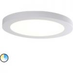 7001136 : LED-Deckenleuchte Bonus Durchmesser 22,5 cm | Sehr große Auswahl Lampen und Leuchten.