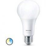7530831 : Philips SceneSwitch E27 LED-Lampe 14W matt | Sehr große Auswahl Lampen und Leuchten.