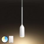 7534066 : Philips Hue White Ambiance Devote mit Dimmschalter | Sehr große Auswahl Lampen und Leuchten.