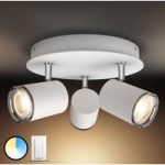 7534074 : Philips Hue White Ambiance Adore LED-Deckenleuchte | Sehr große Auswahl Lampen und Leuchten.