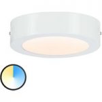 7601615 : Paulmann Carpo LED-Deckenlampe rund weiß 17cm | Sehr große Auswahl Lampen und Leuchten.