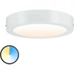 7601617 : Paulmann Carpo LED-Deckenlampe rund weiß 22,5cm | Sehr große Auswahl Lampen und Leuchten.