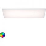 7610805 : Paul Neuhaus Frameless Deckenlampe RGBW 60x30cm | Sehr große Auswahl Lampen und Leuchten.