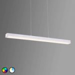 9005618 : Trio WiZ Livaro LED-Pendelleuchte nickel matt | Sehr große Auswahl Lampen und Leuchten.