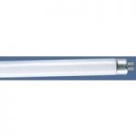 9504951 : Leuchtstoffröhre T4 16W Standard ww | Sehr große Auswahl Lampen und Leuchten.